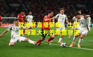 欧洲杯直播聚焦：土耳其与意大利的绿茵对决