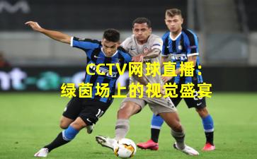 CCTV网球直播:绿茵场上的视觉盛宴