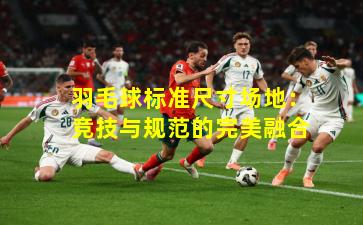 羽毛球标准尺寸场地:竞技与规范的完美融合