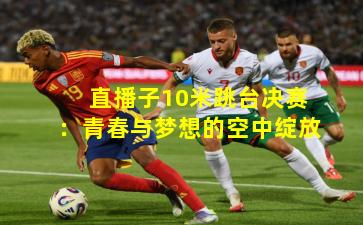 直播子10米跳台决赛：青春与梦想的空中绽放