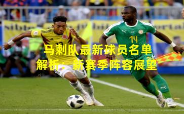 马刺队最新球员名单解析：新赛季阵容展望