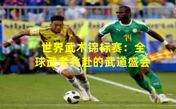 世界武术锦标赛：全球武者共赴的武道盛会