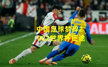 中国足球梦碎2022世界杯征途