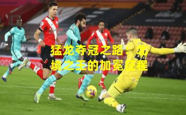 猛龙夺冠之路：北境之王的加冕征程