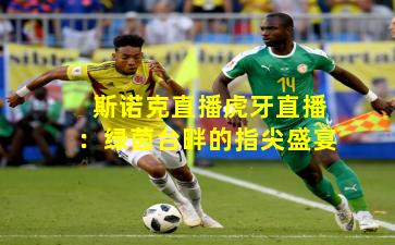 斯诺克直播虎牙直播：绿茵台畔的指尖盛宴